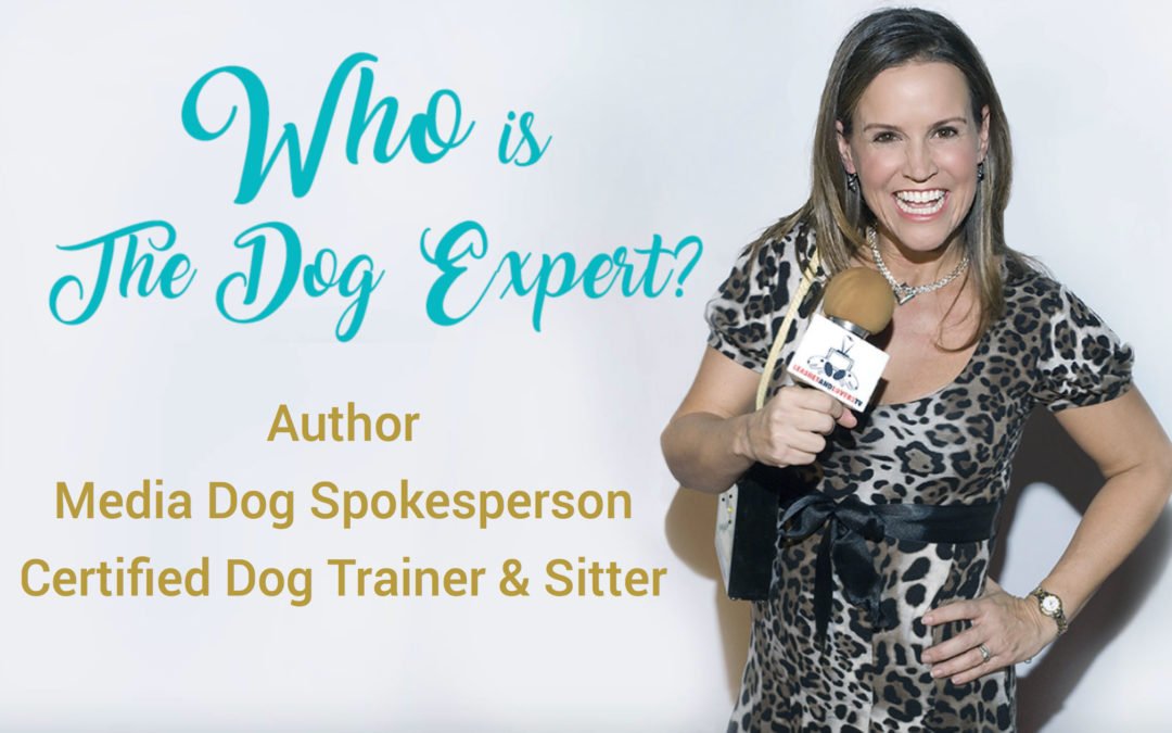 Who is the Dog Expert