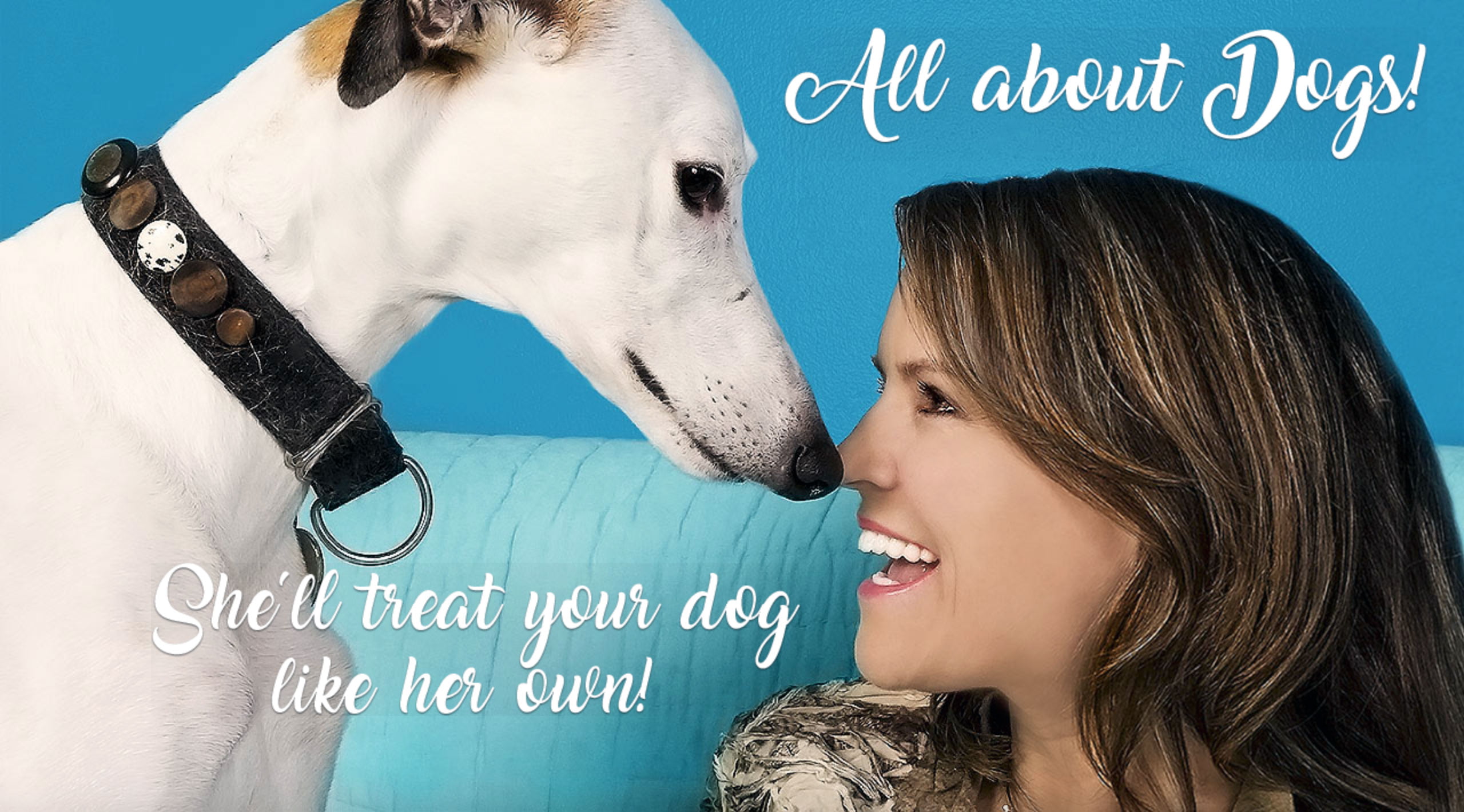 All About Dogs!